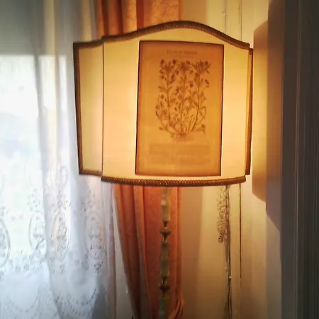 Отель Casa Maya Souvenir